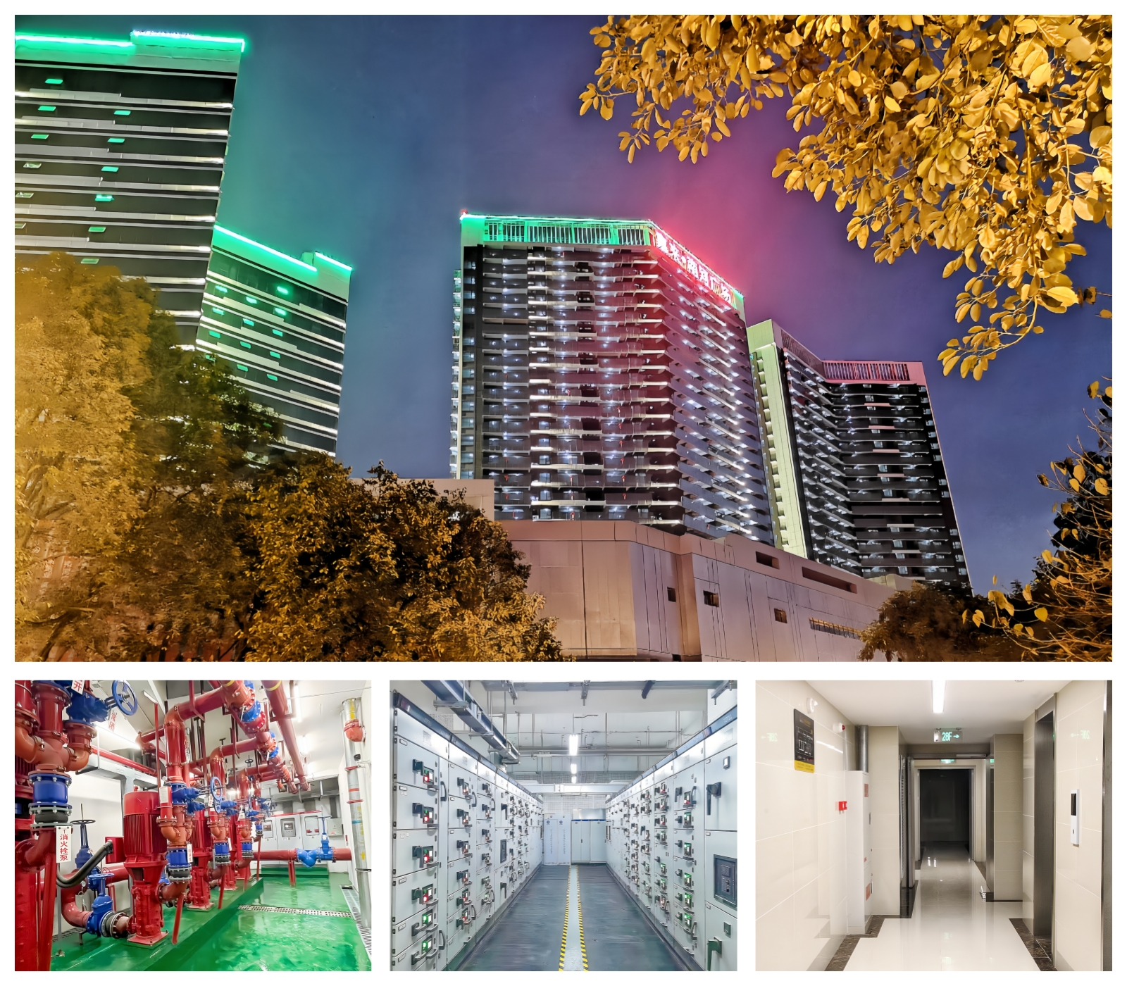 1710919345123471.jpg 1710919345123471.jpg